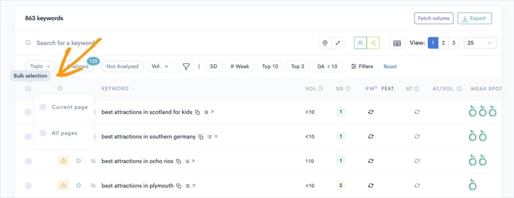 Bulk selection tool for SERP analysis. 