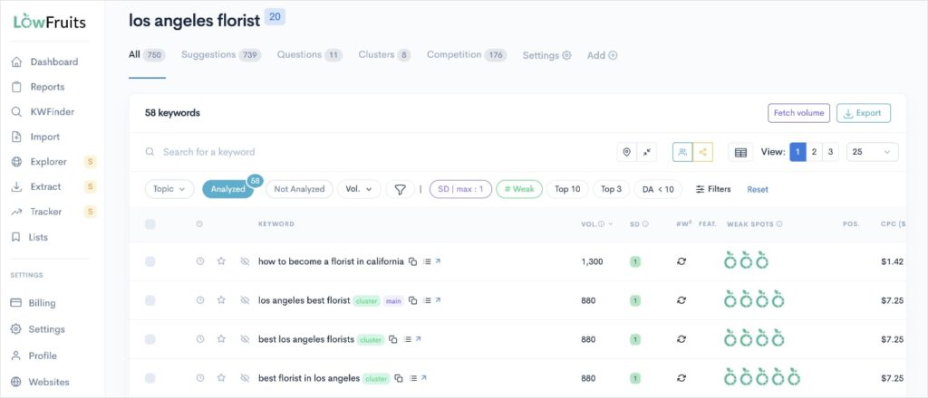 Easy Keywords Easy keywords for SEO keyword mapping.