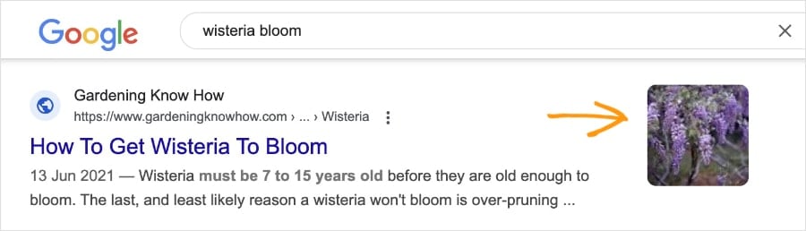 Naming image for SEO can help you land a Google image snippet.
