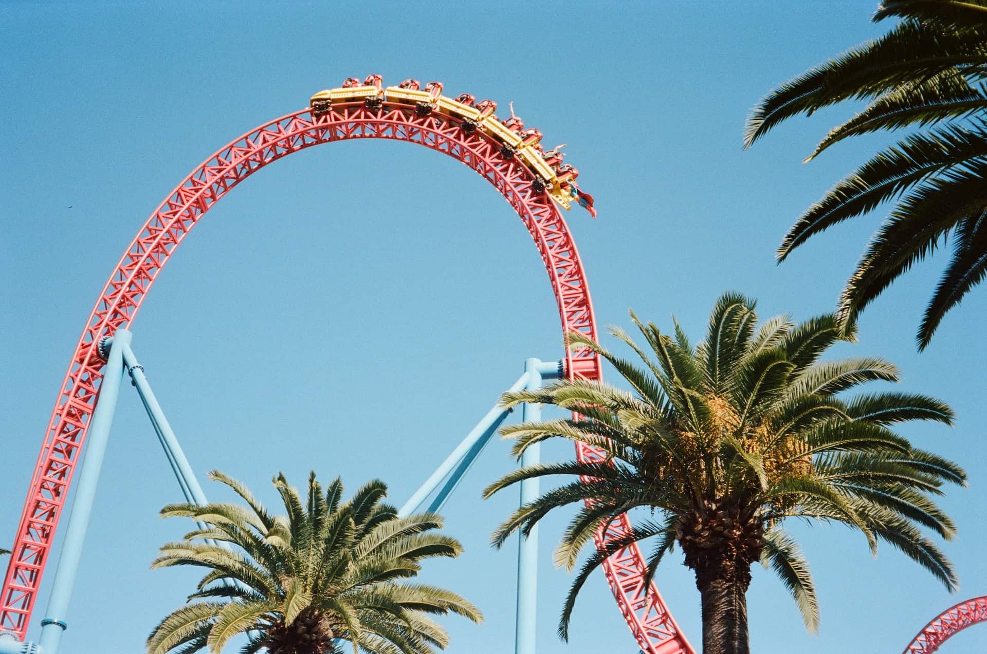 A roller coaster ride with palm trees in the background A roller coaster ride with palm trees in the background.