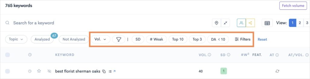 Filters at the top of a LowFruits keyword report.
