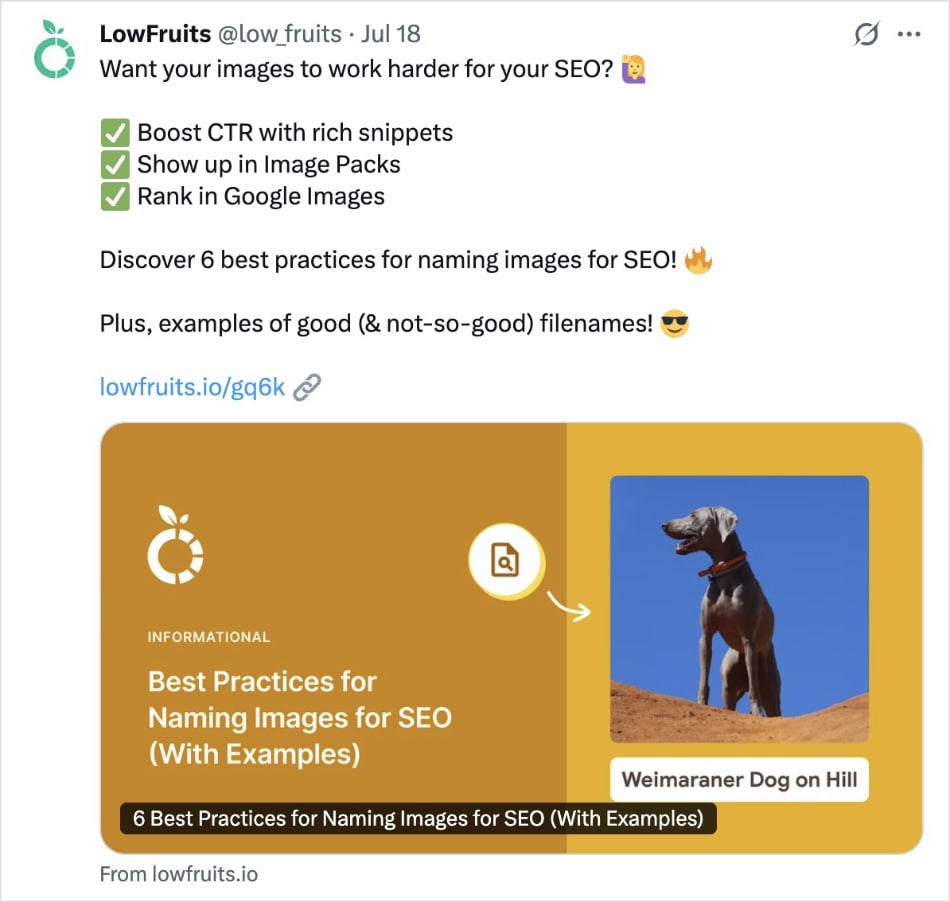 LowFruits Twitter Post LowFruits Twitter post about image SEO.