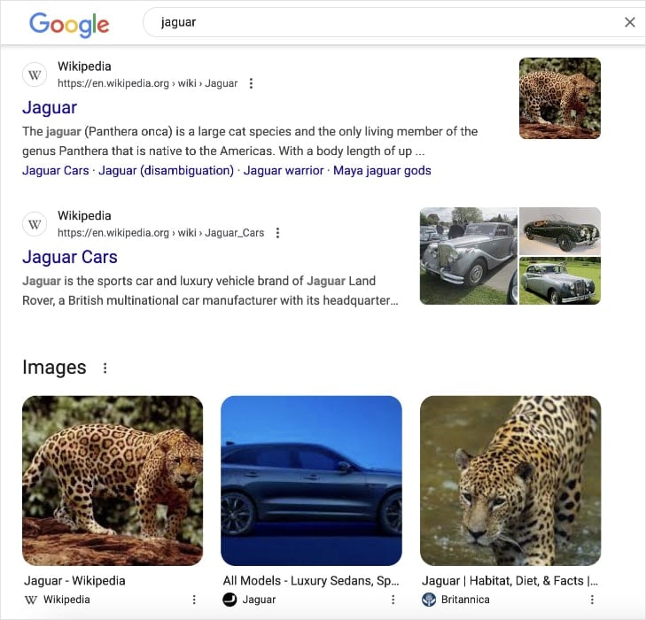 Vague Search Intent Google search results for the query jaguar shows the animal and the car.