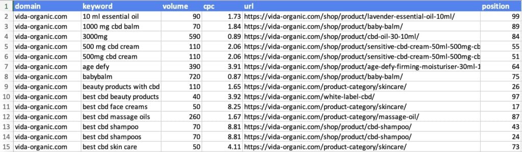 Excel spreadsheet of SEO ranking keywords and positions.