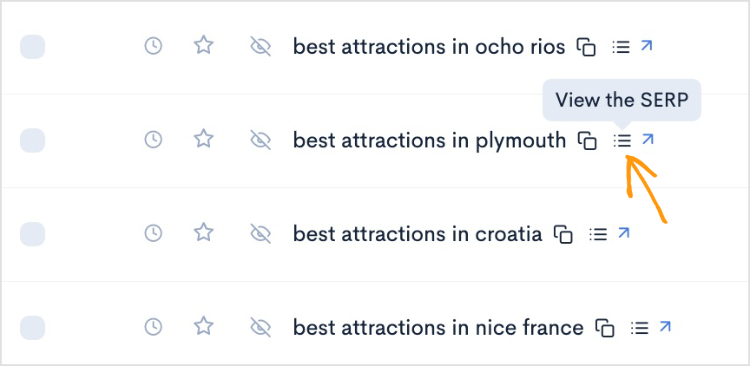 Button to view the SERP.