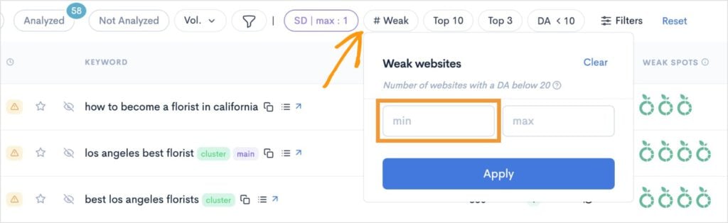 Weak Spots Filter Weak Spots filter in the LowFruits KWFinder.