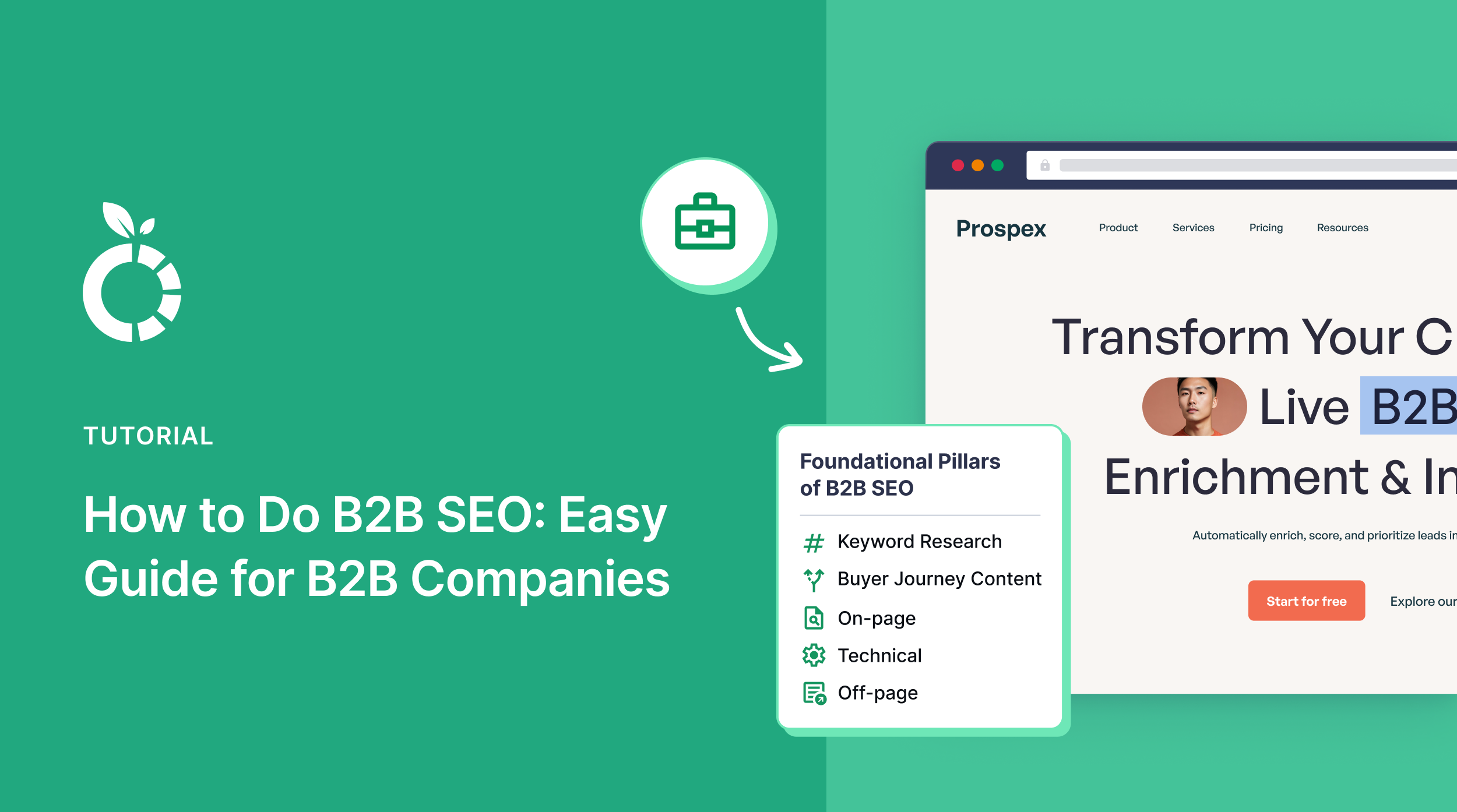 b2b-seo How to do B2B SEO.