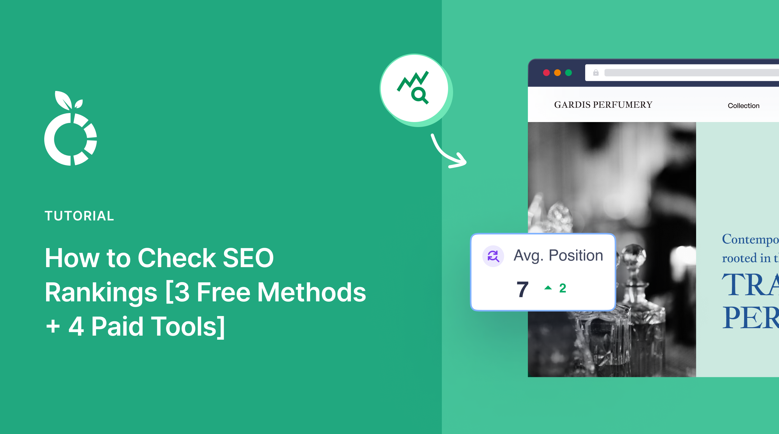 How to Check SEO rankings using different methods.